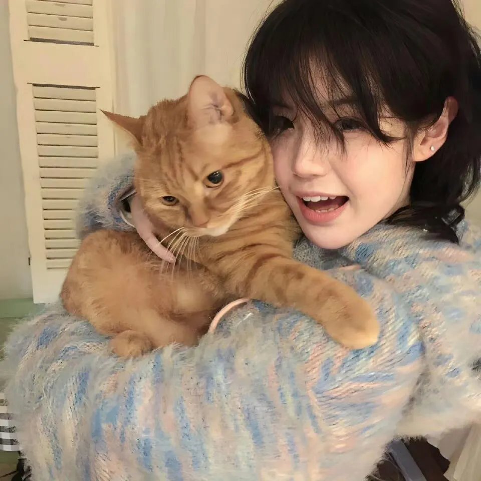 摩斯探长前传第一季